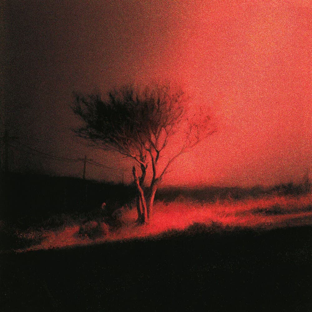Piss in the Wind artwork