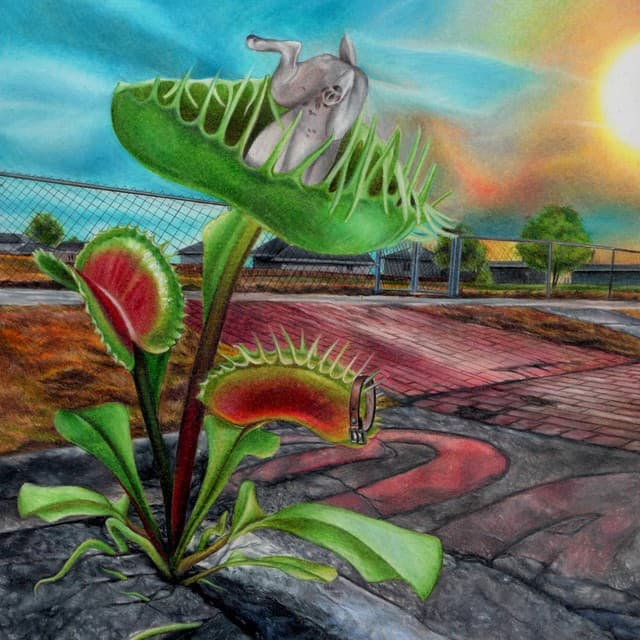 Carnivore artwork