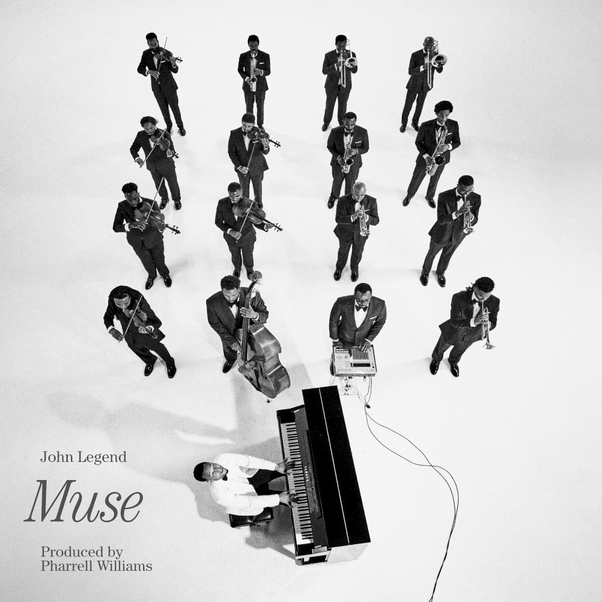 Muse artwork