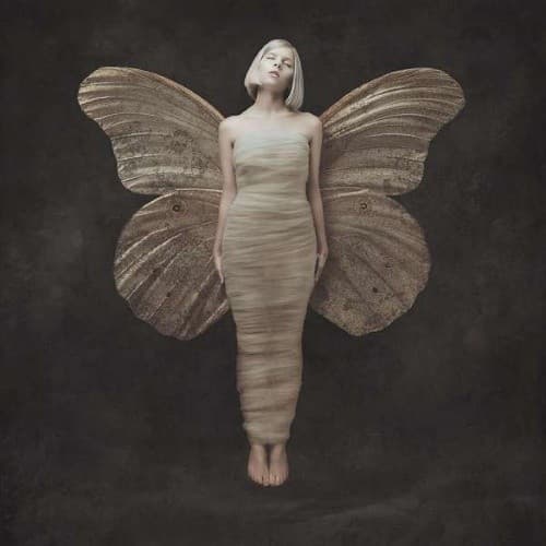 All My Demons Greeting Me As A Friend (The Moth Tapes) artwork