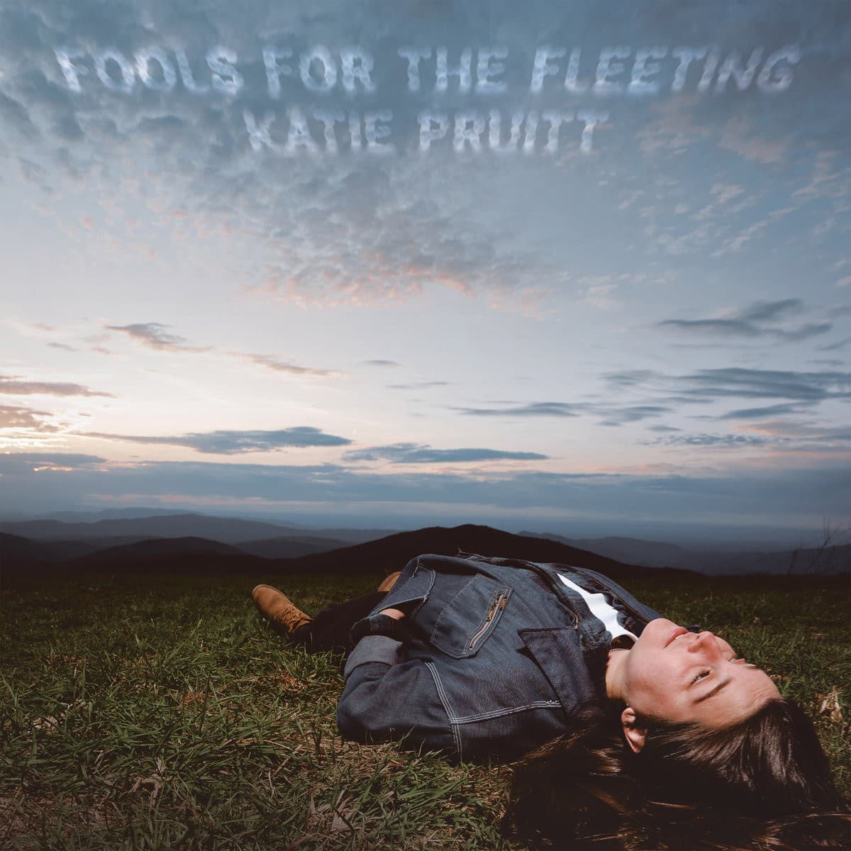 Fools for the Fleeting artwork