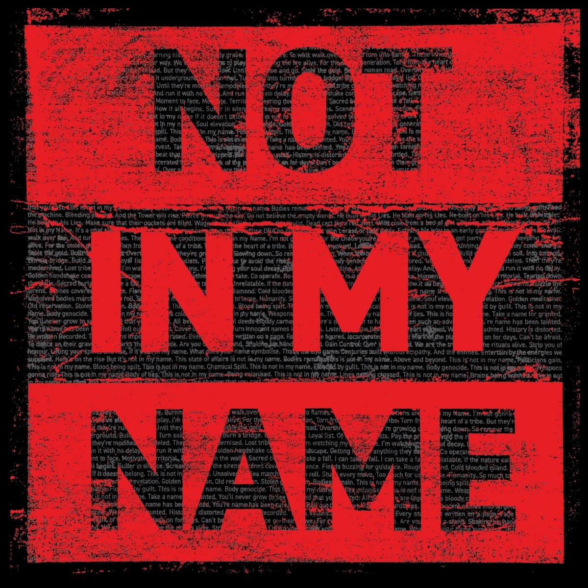 Not In My Name artwork