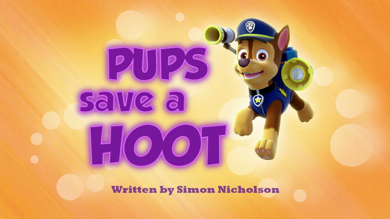 Pups Save a Hoot still