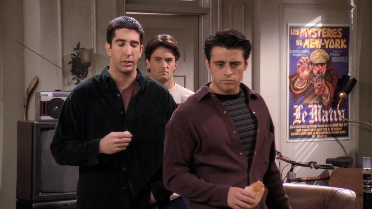 The One with the Stoned Guy still