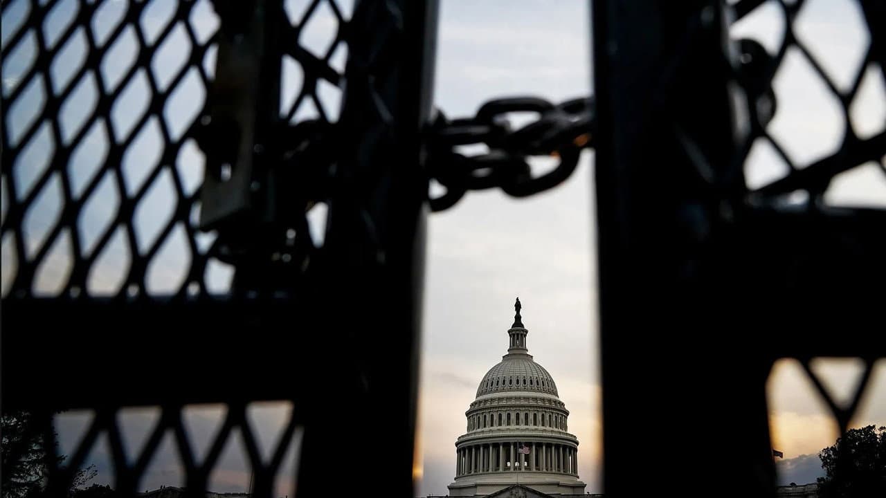 Lies, Politics and Democracy still