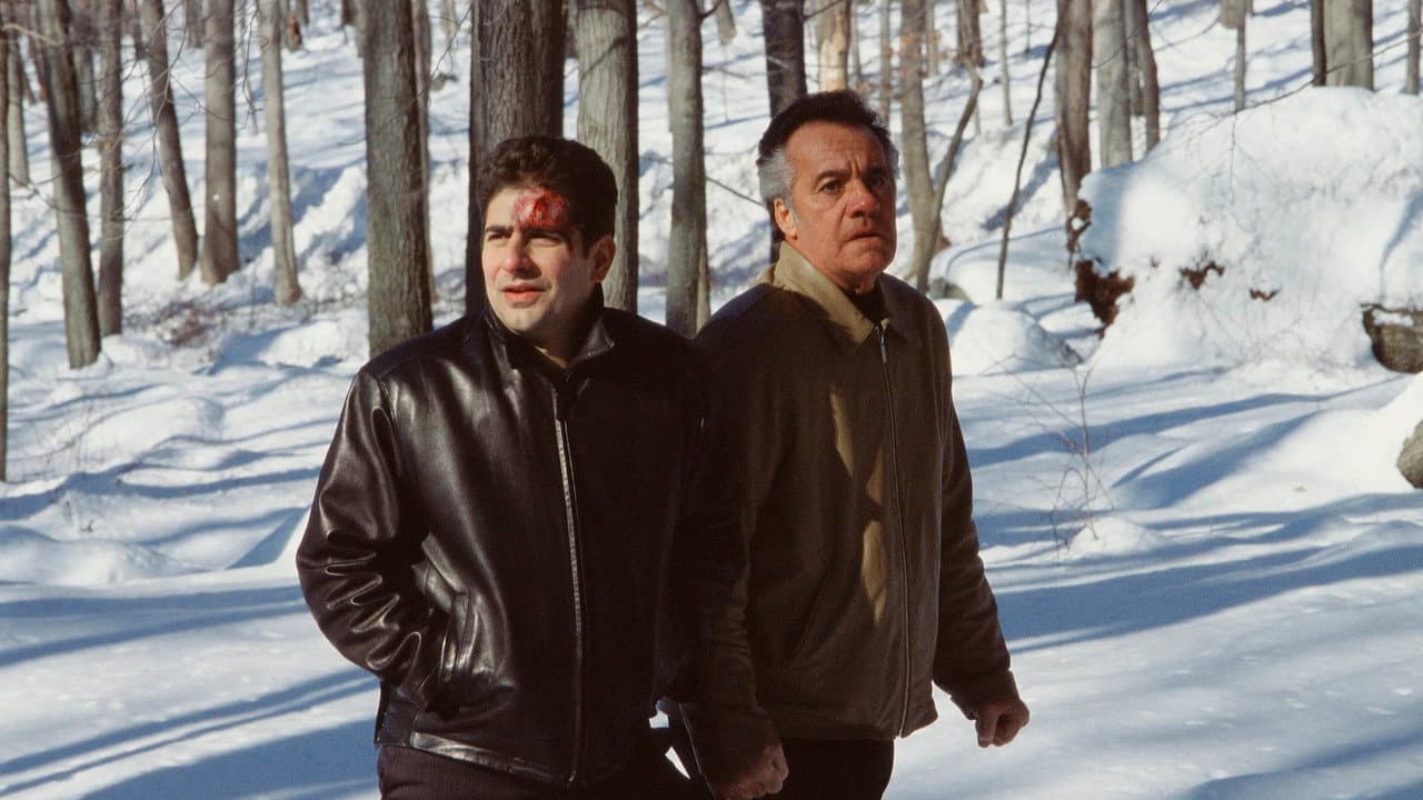 Pine Barrens still
