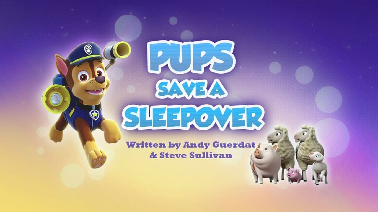 Pups Save a Sleepover still