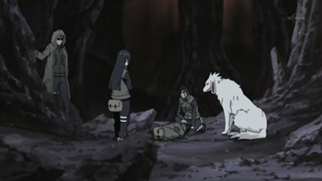 White Zetsu's Trap still