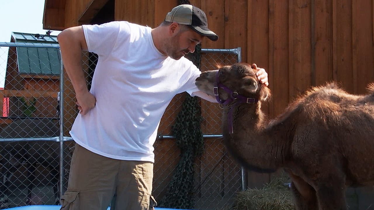 Hump Day still