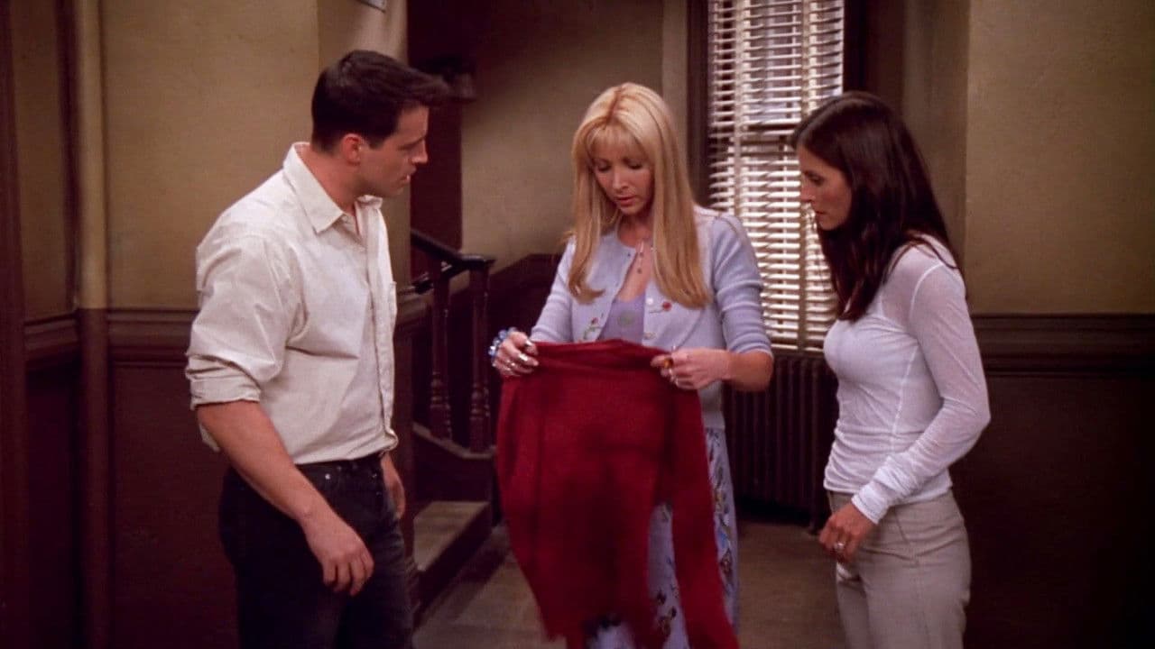The One with the Red Sweater still