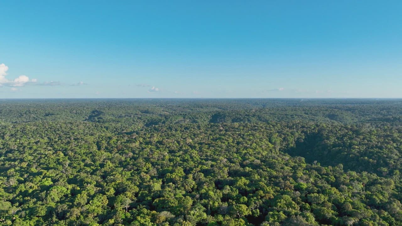 Secrets of the Amazon still