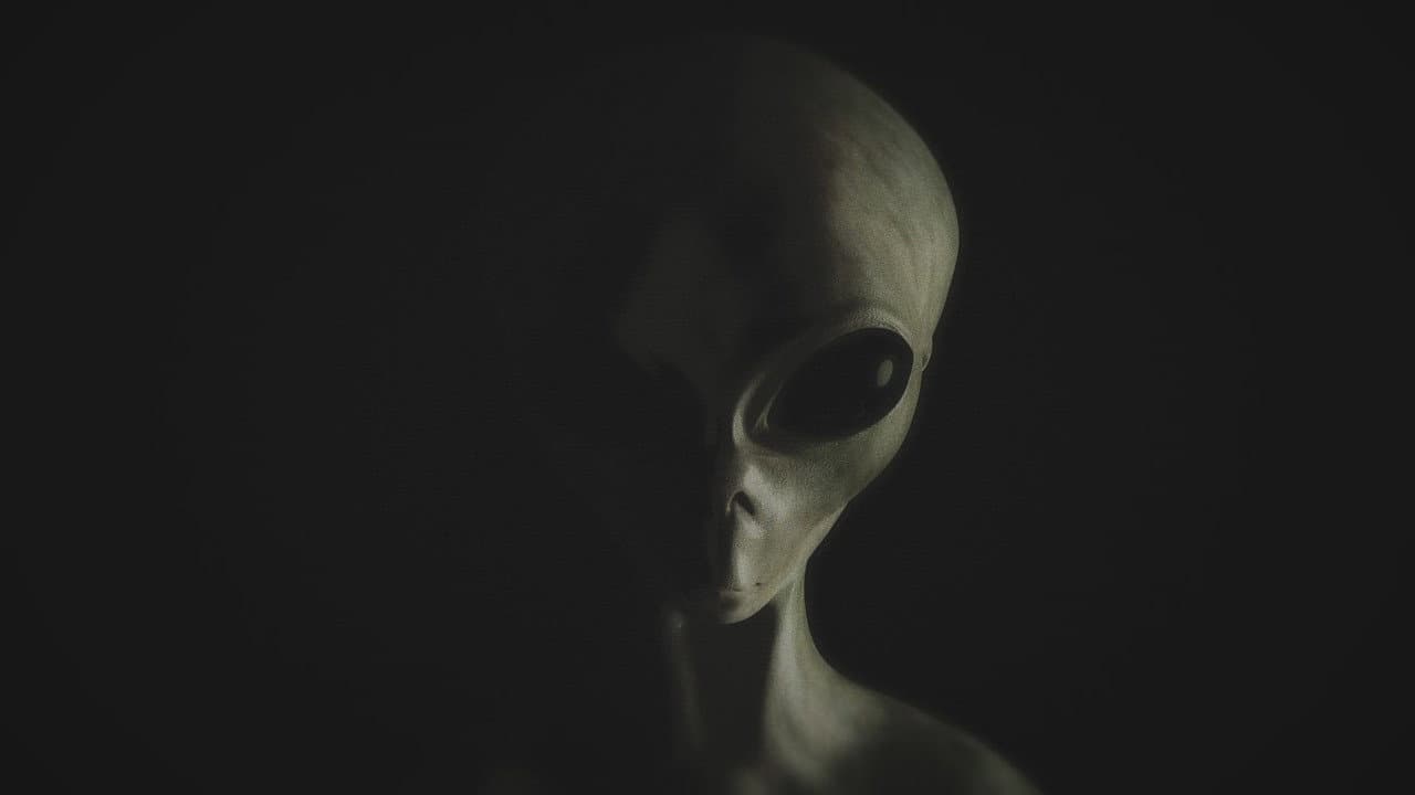 UFO Sightings still