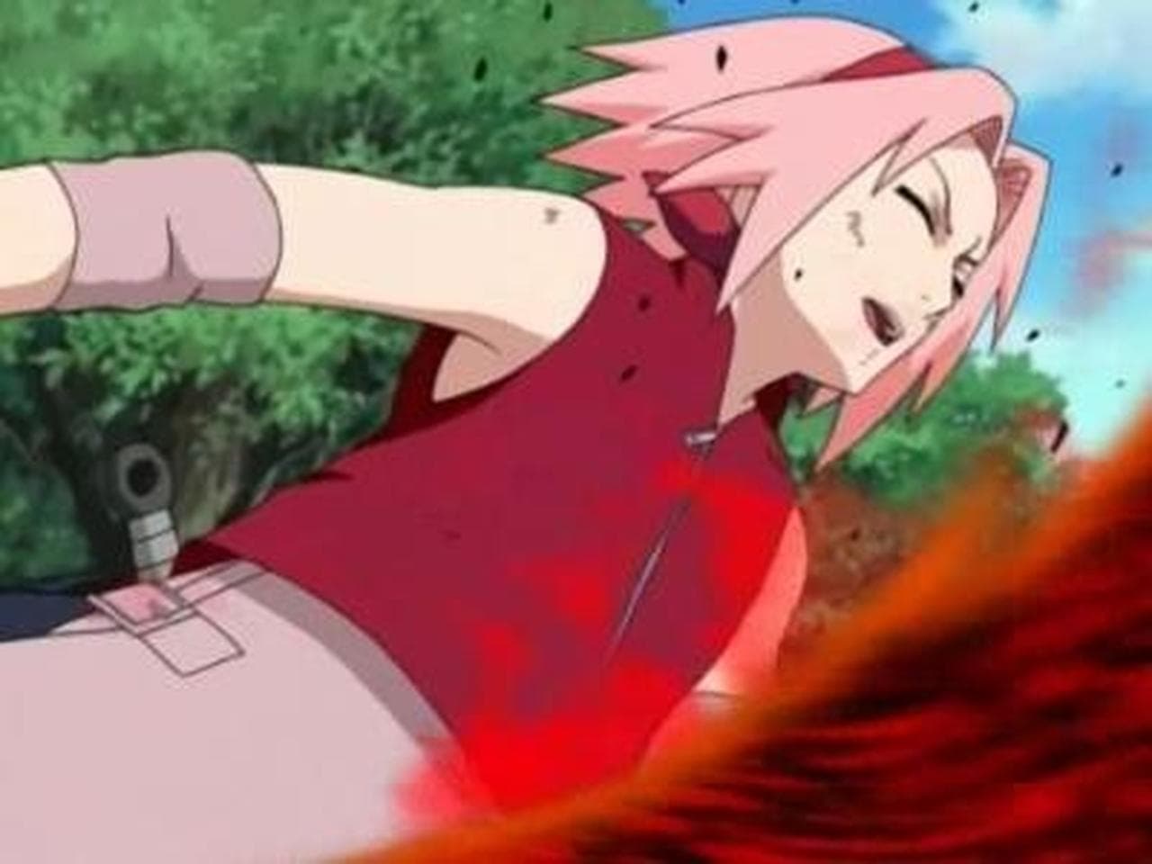 Sakura's Tears still