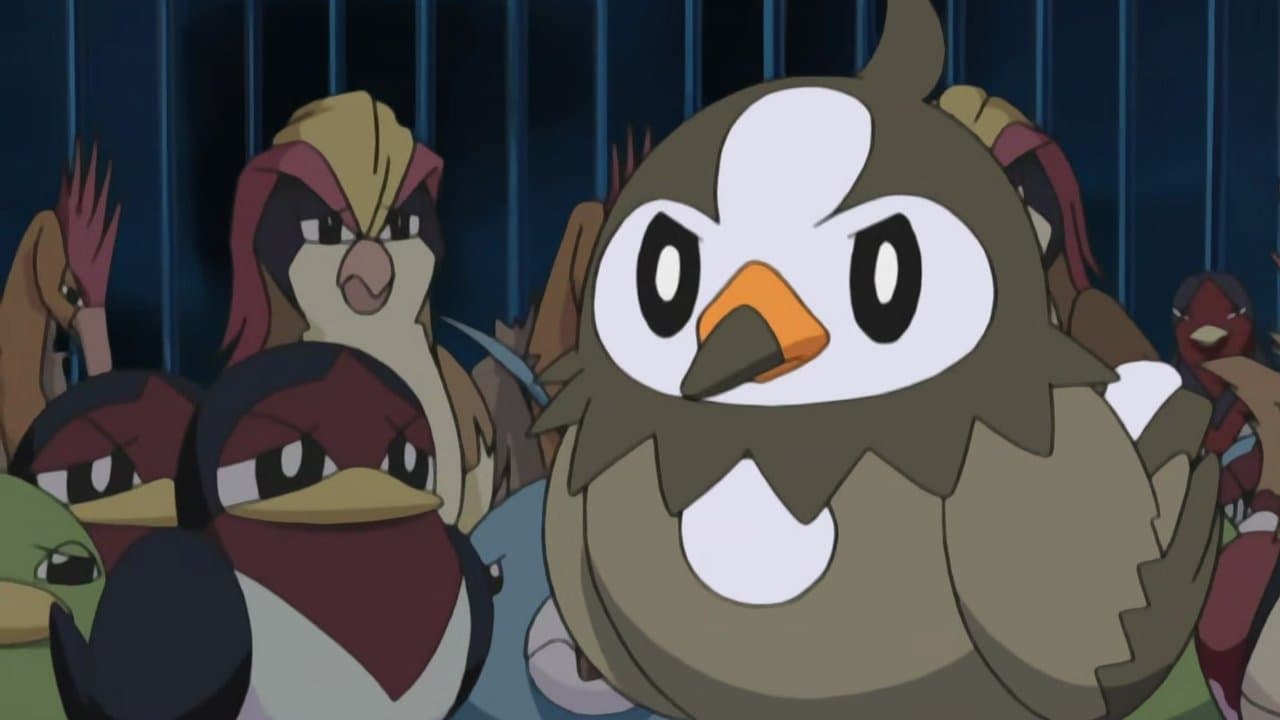 A Staravia Is Born! still