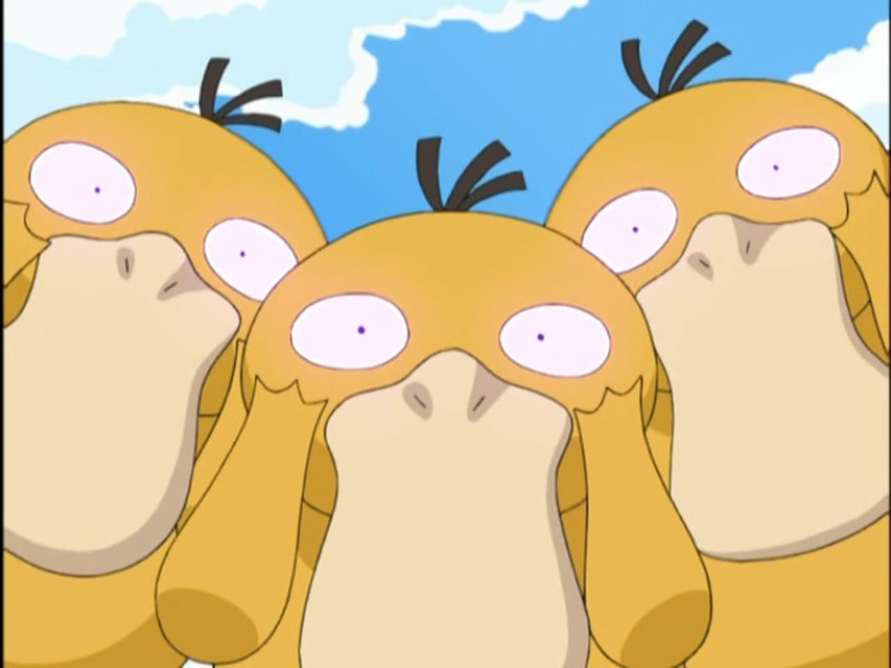 The Psyduck Stops Here! still