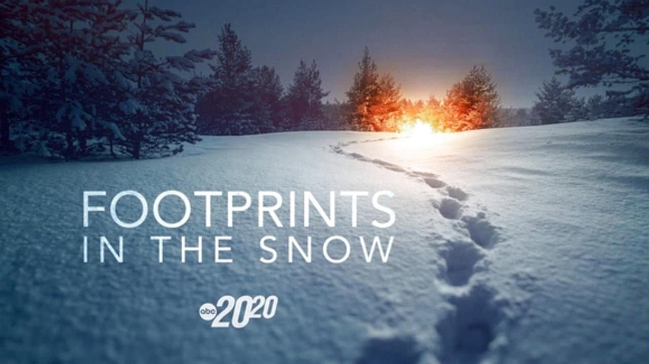 Footprints in the Snow still