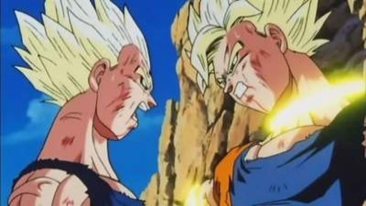 The Long Awaited Fight still
