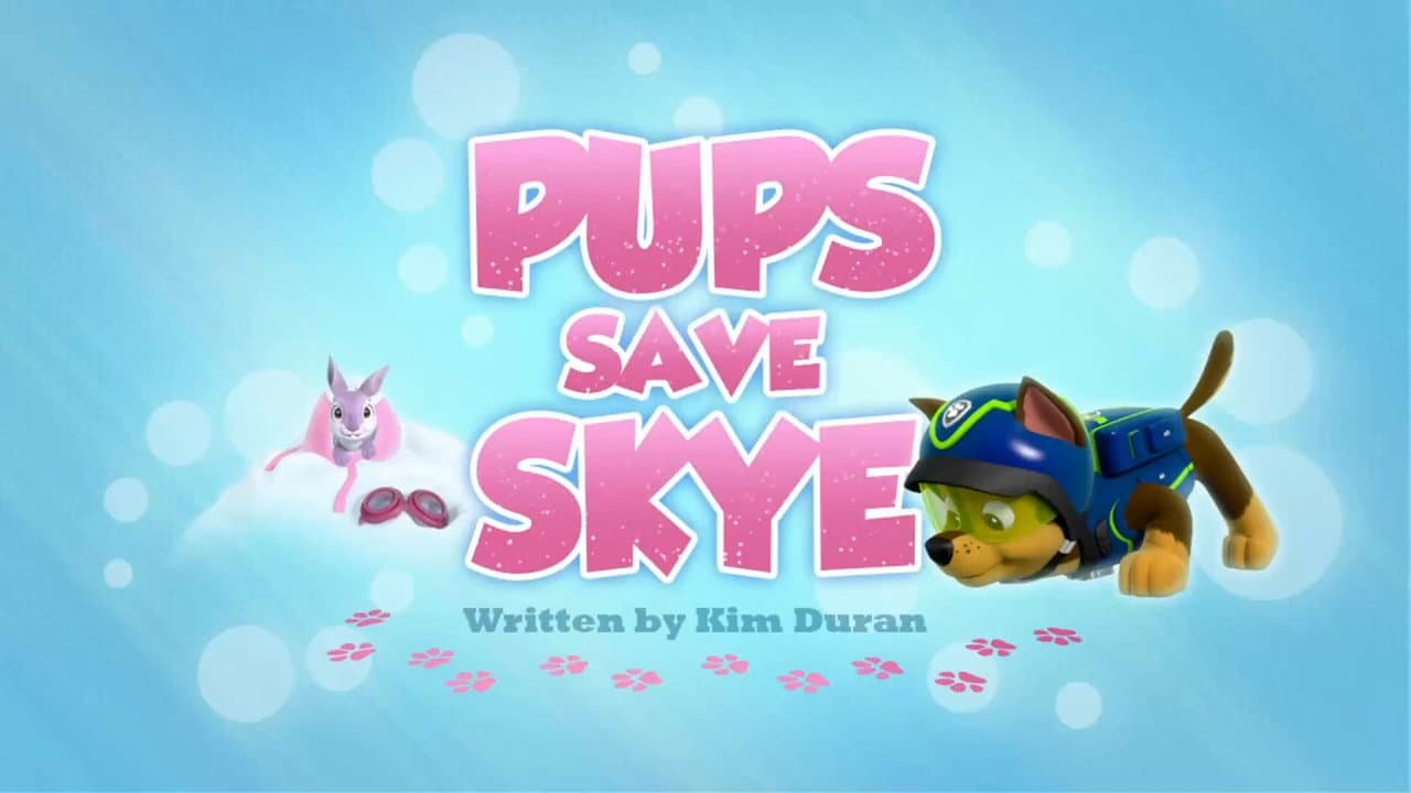 Pups Save Skye still