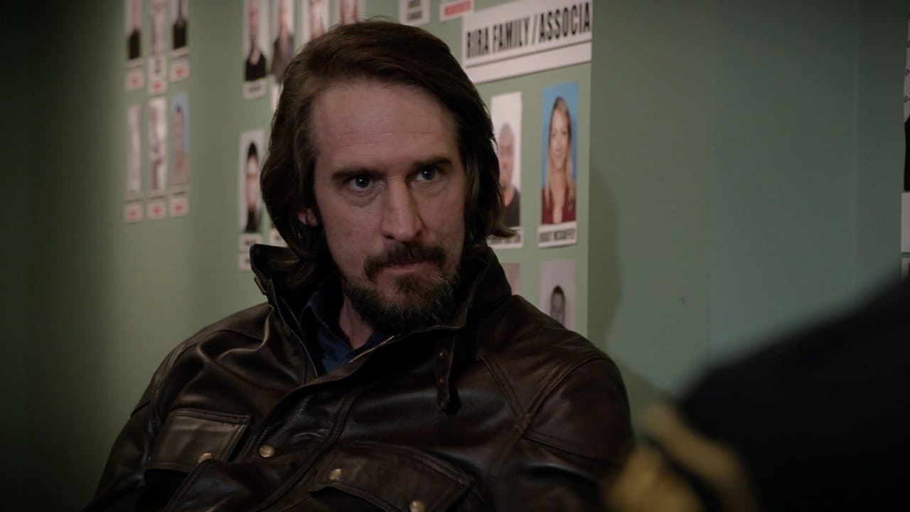 Dorylus still