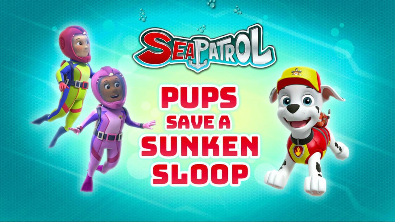 Sea Patrol: Pups Save a Sunken Sloop still