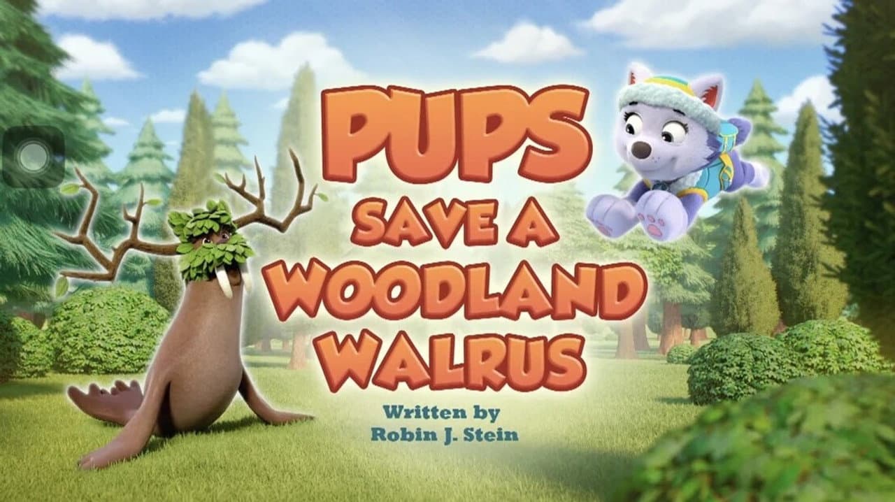 Pups Save a Woodland Walrus still