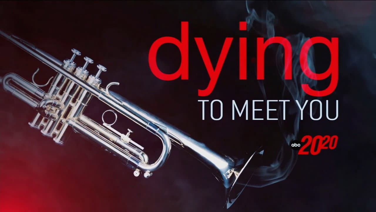 Dying to Meet You still