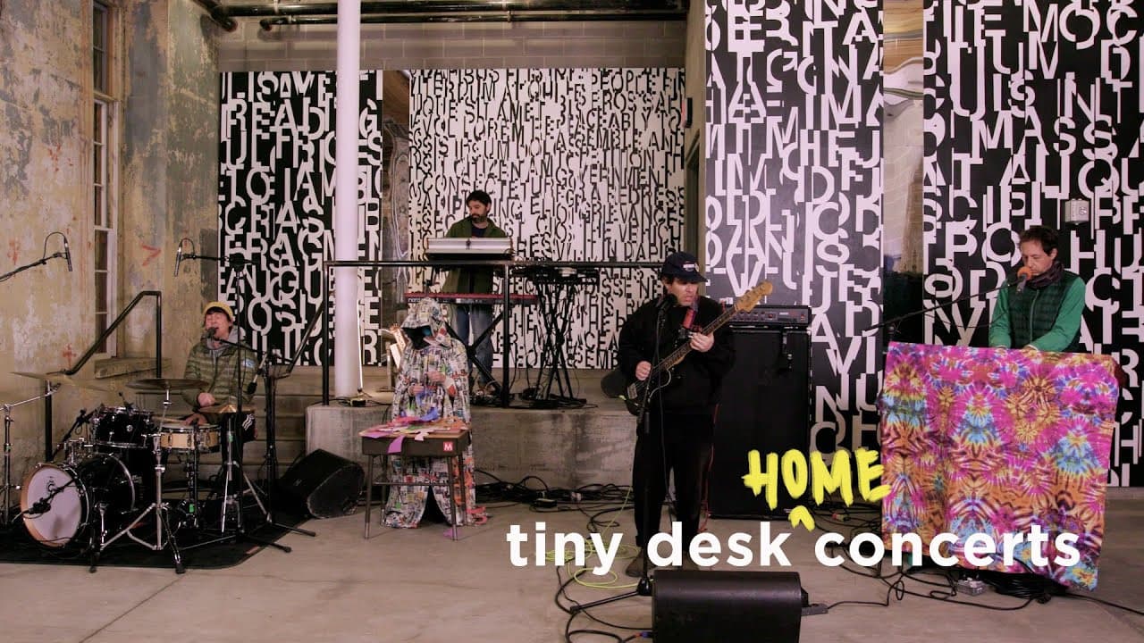 Animal Collective (Home) Concert still