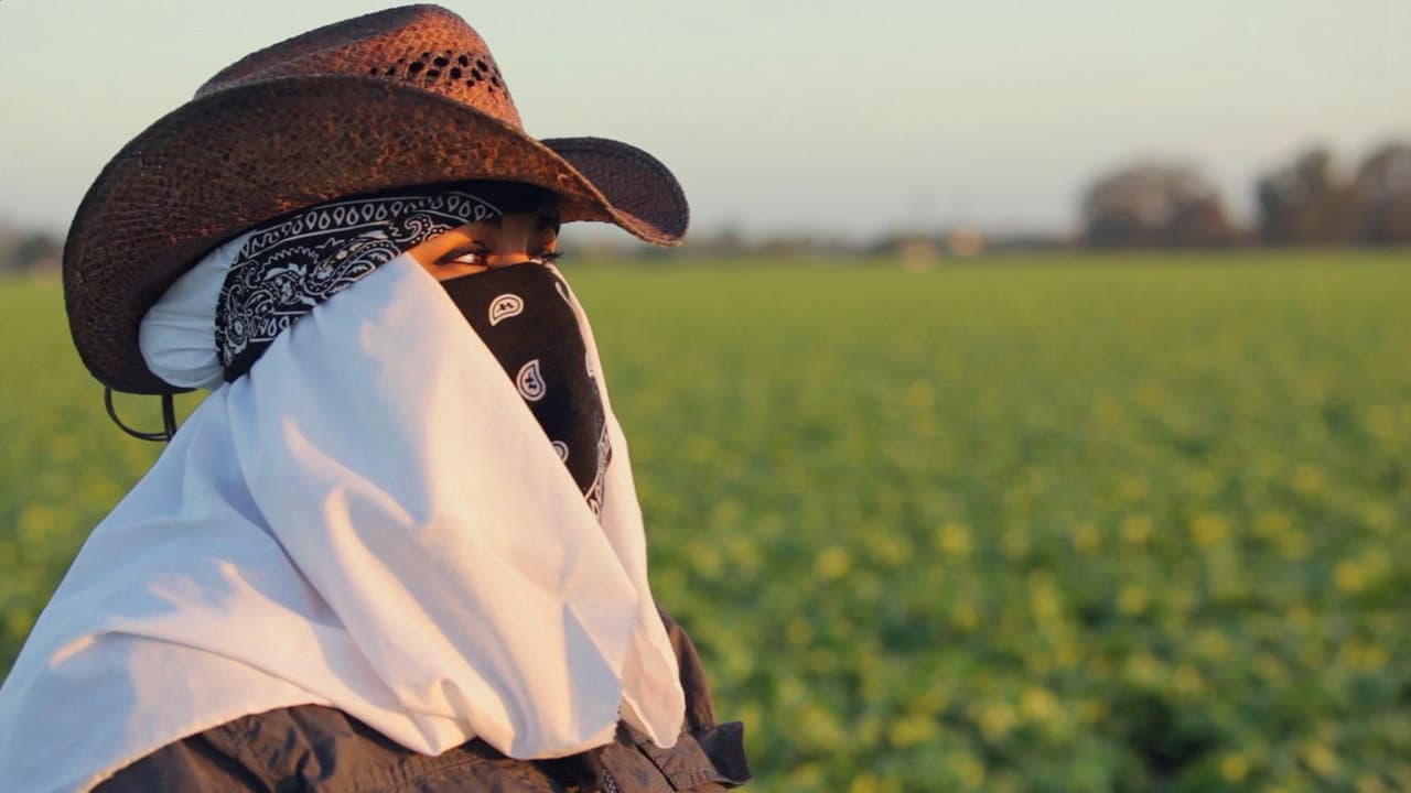 Rape in the Fields still