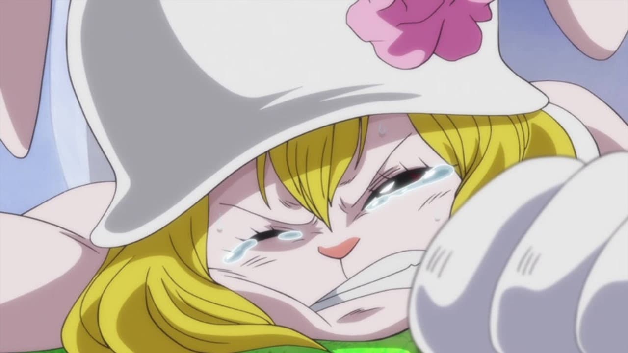 I'll Be Back! Luffy, Deadly Departure still