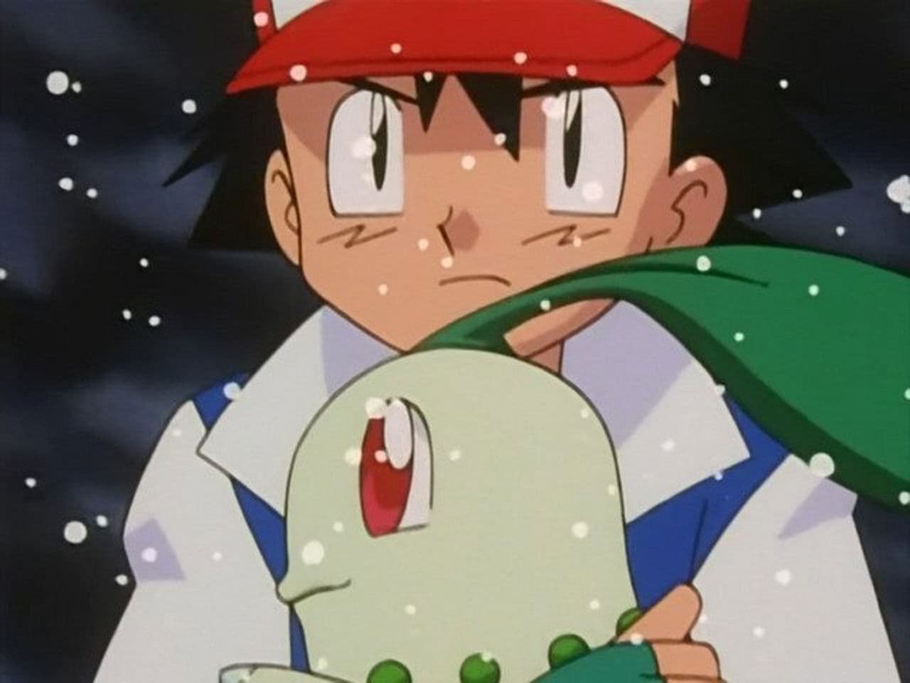 The Chikorita Rescue still