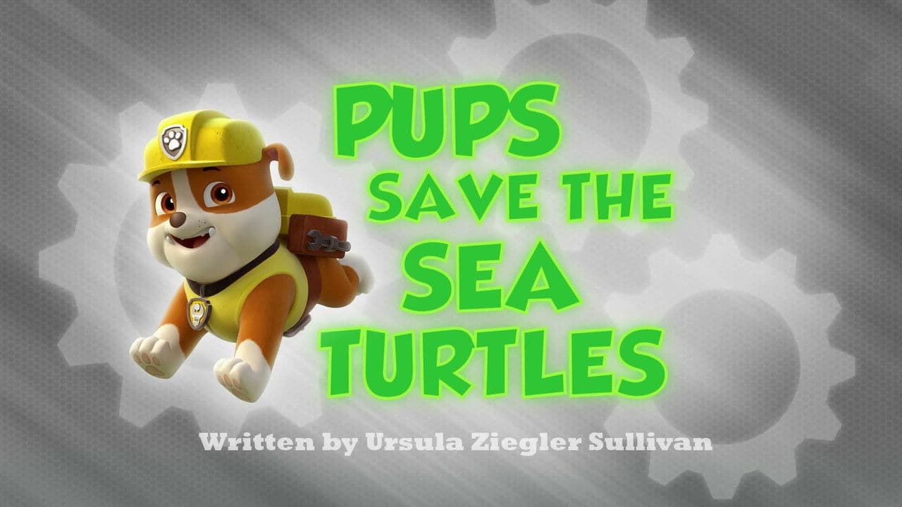 Pups Save the Sea Turtles still