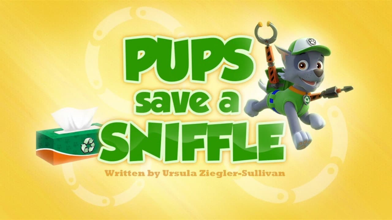 Pups Save a Sniffle still