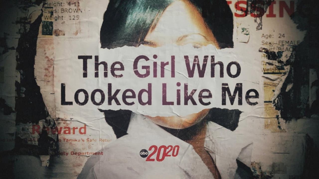 The Girl Who Looked Like Me still