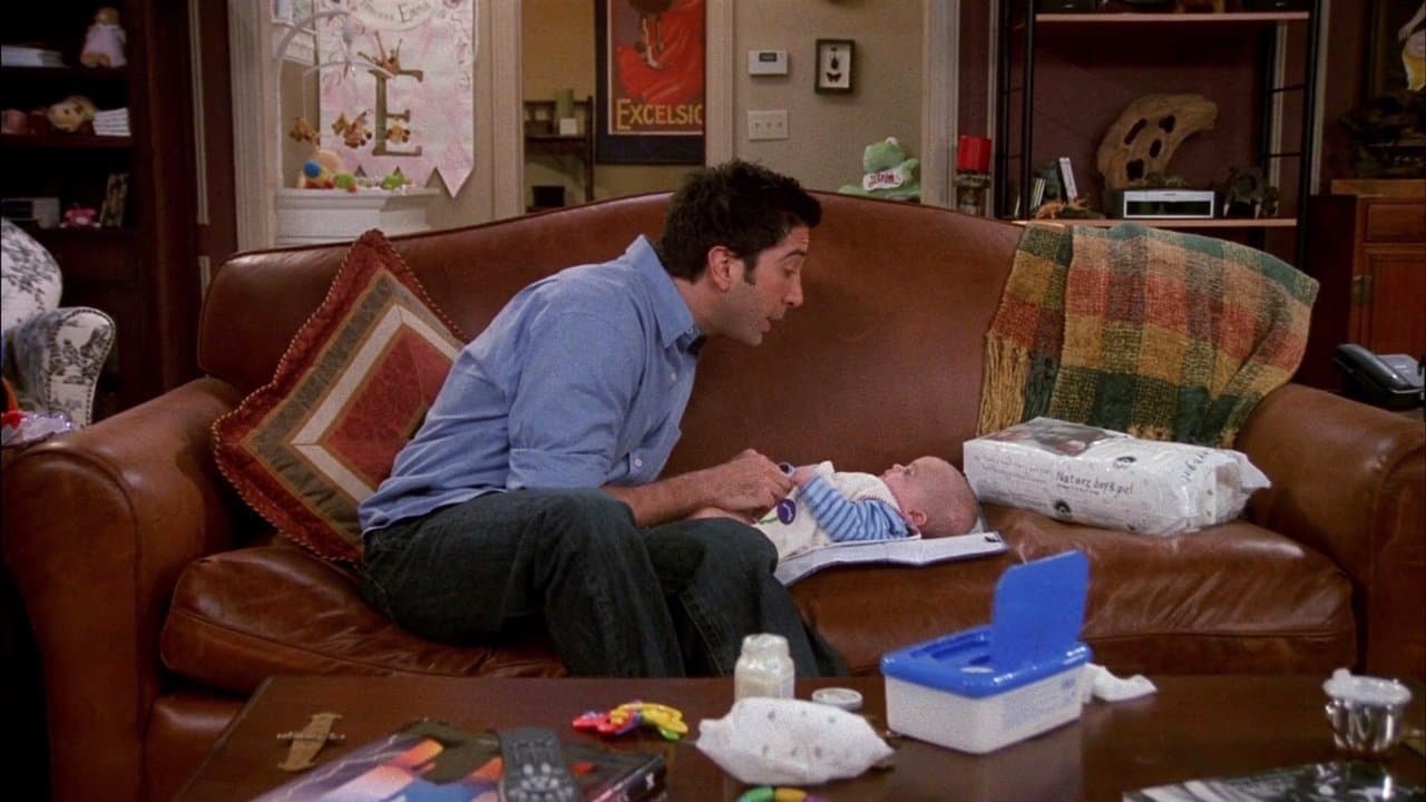 The One with Ross's Inappropriate Song still
