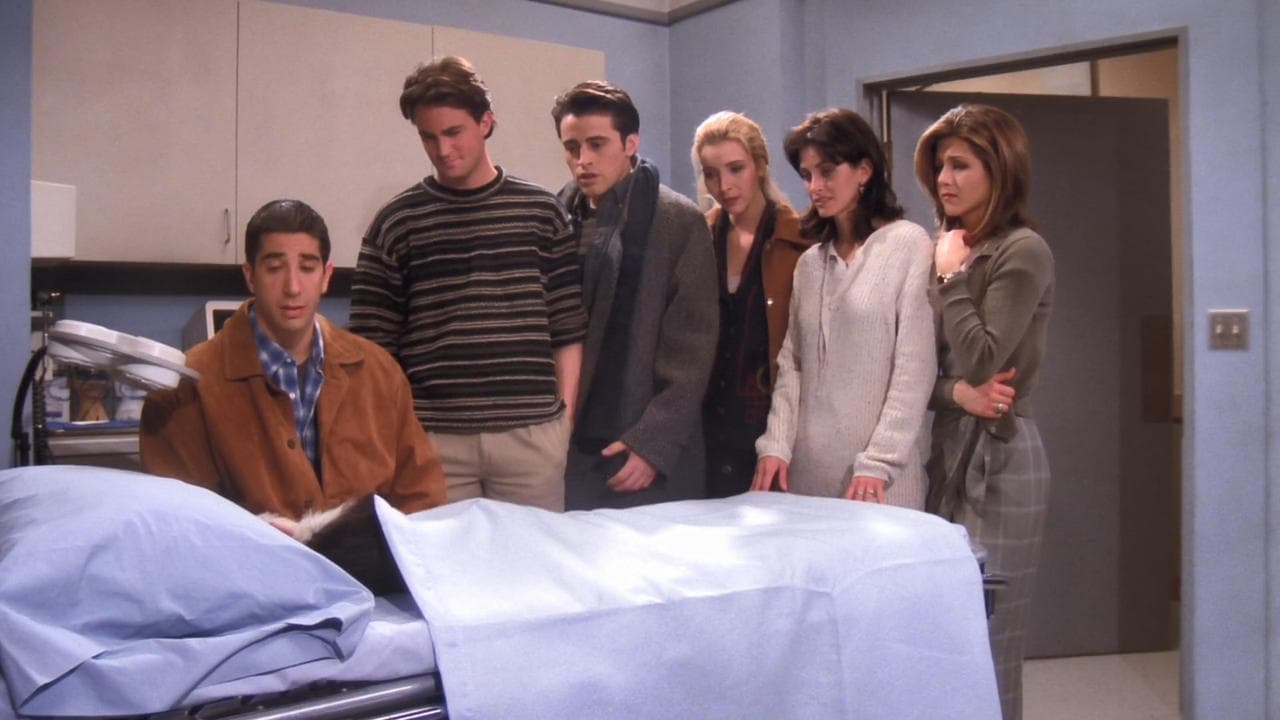 The One with Two Parts (2) still