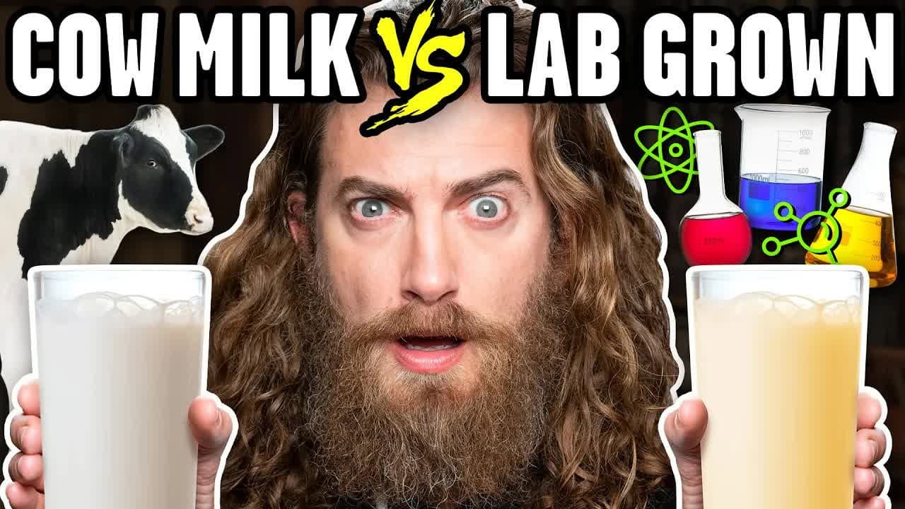 Lab Grown Dairy Taste Test still