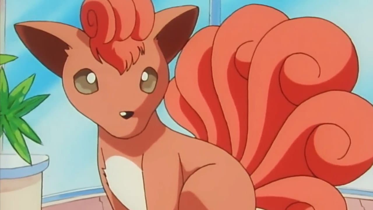 Pokémon Fashion Flash still