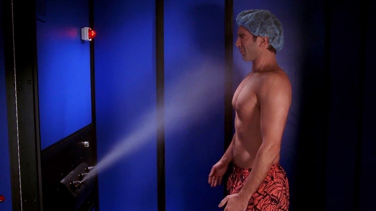 The One with Ross's Tan still