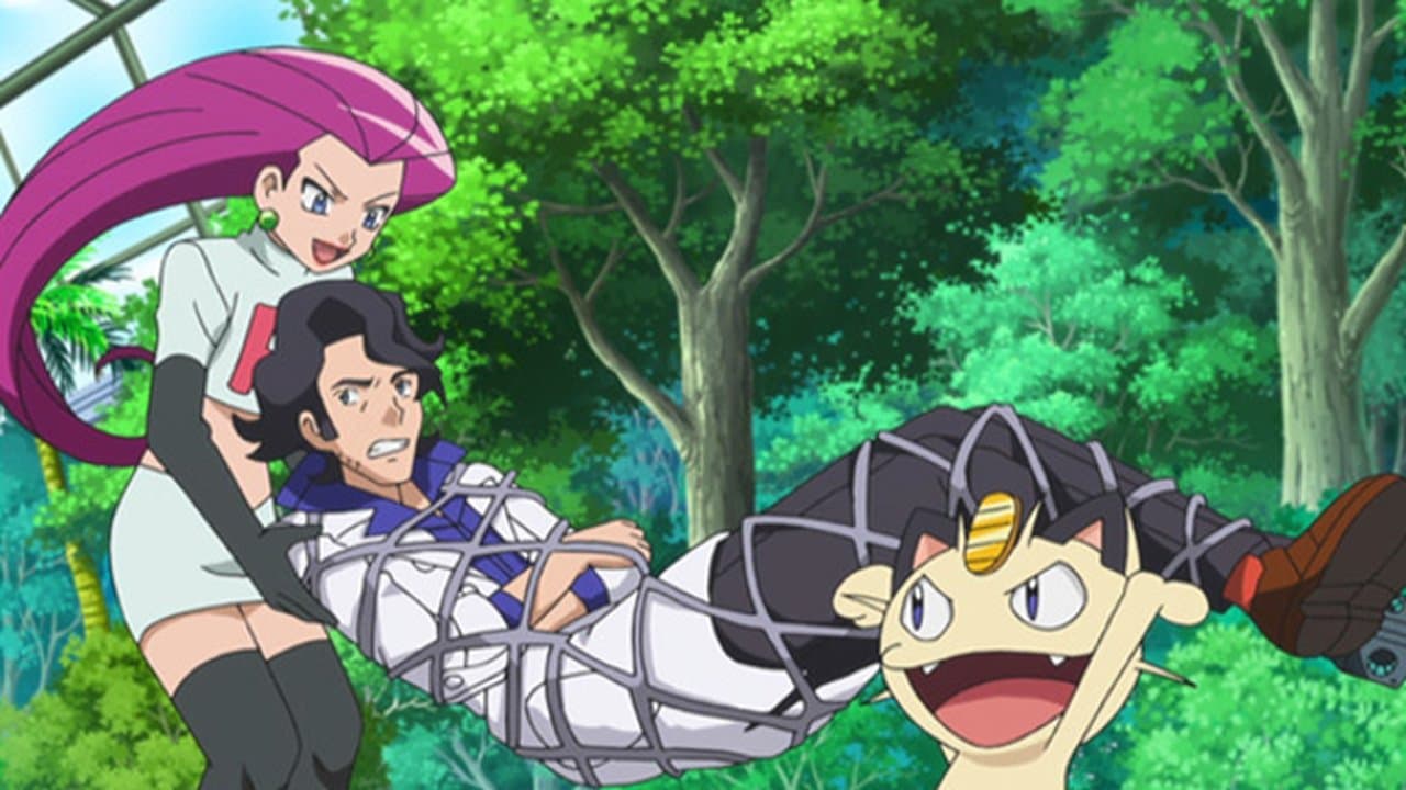 Mega-Mega Meowth Madness! still
