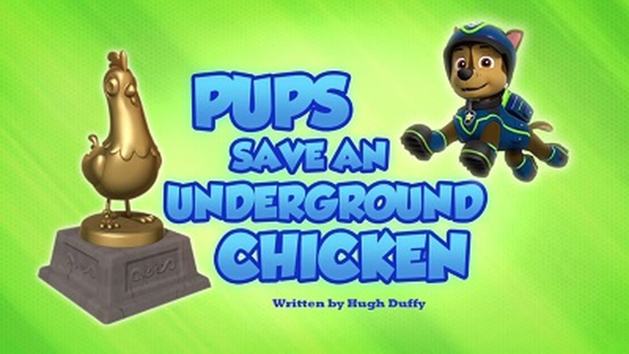 Pups Save an Underground Chicken still