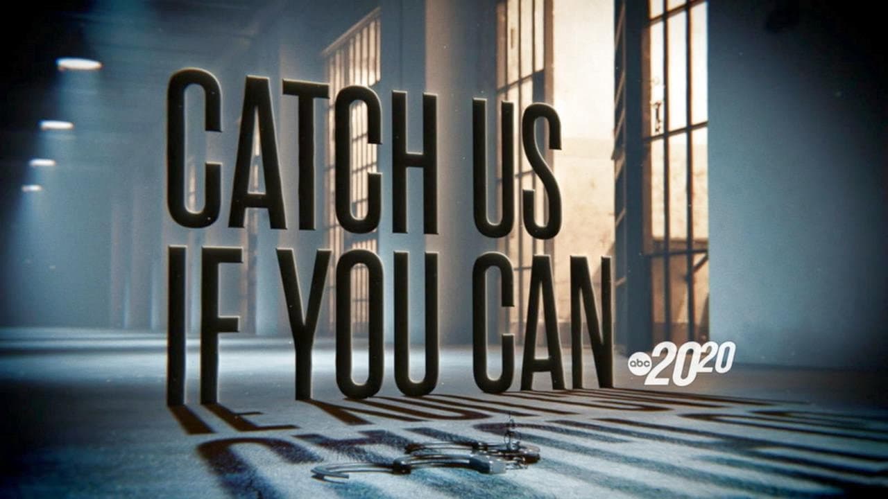Catch Us If You Can still