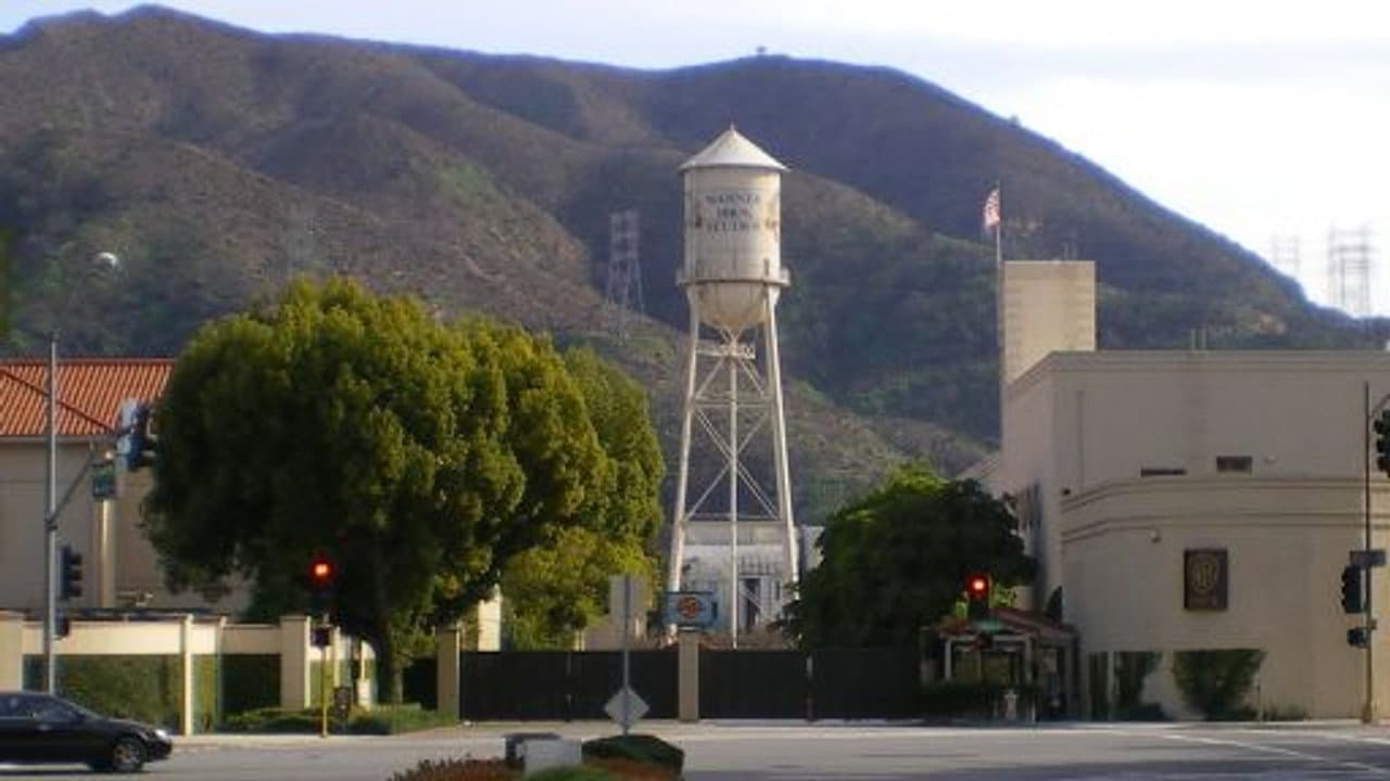 You Must Remember This: The Warner Bros. Story: A New Reality (1950-1970) still