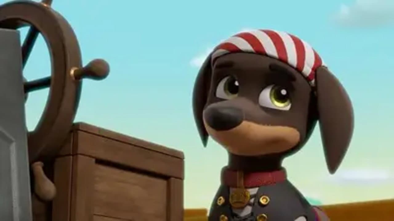 Jungle Pups: Pups Save the Meerkat Pirates still