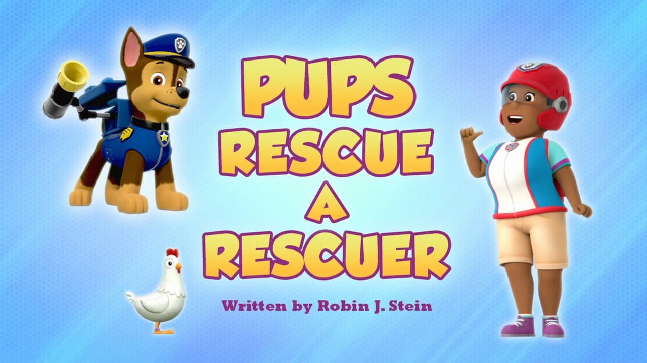 Pups Rescue a Rescuer still