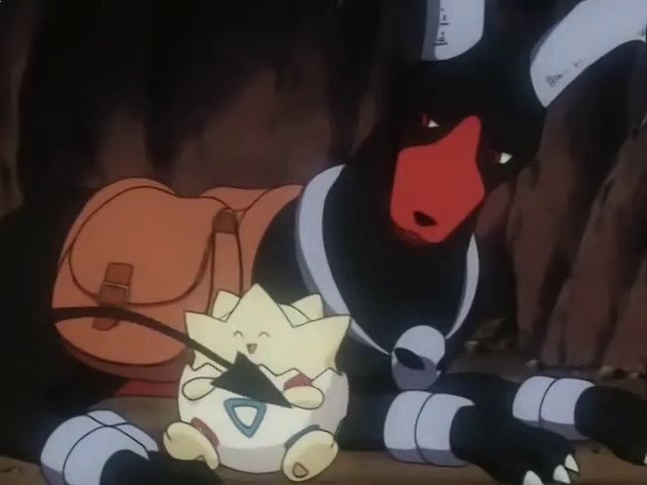Houndoom's Special Delivery still