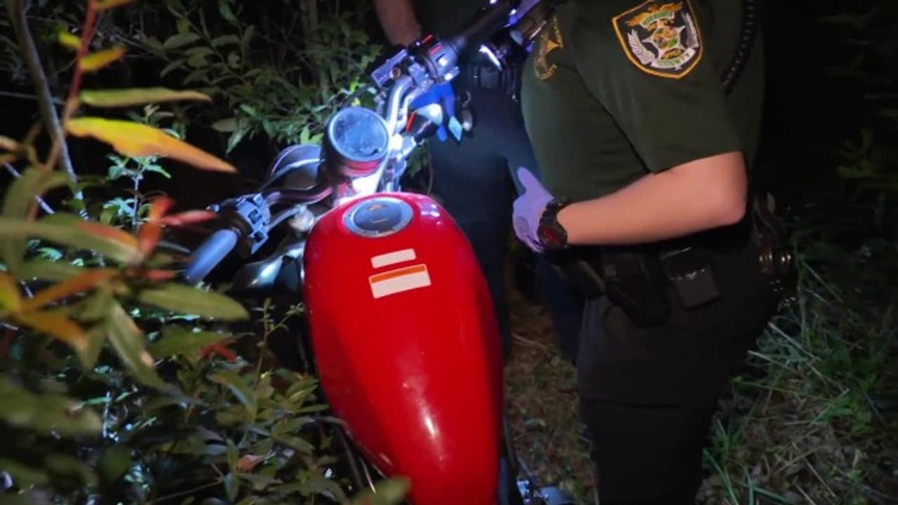 Bike In The Bushes still