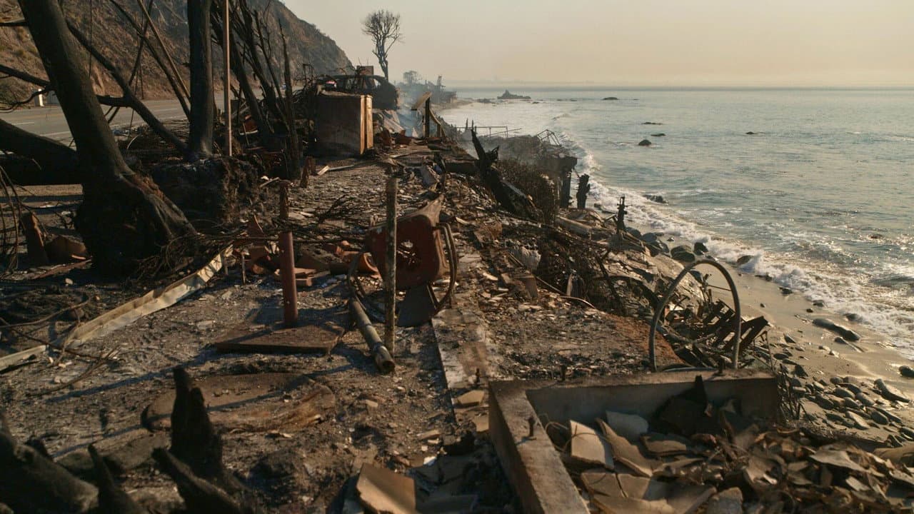 The Fires; The FBI Director; The Gaza Policy still