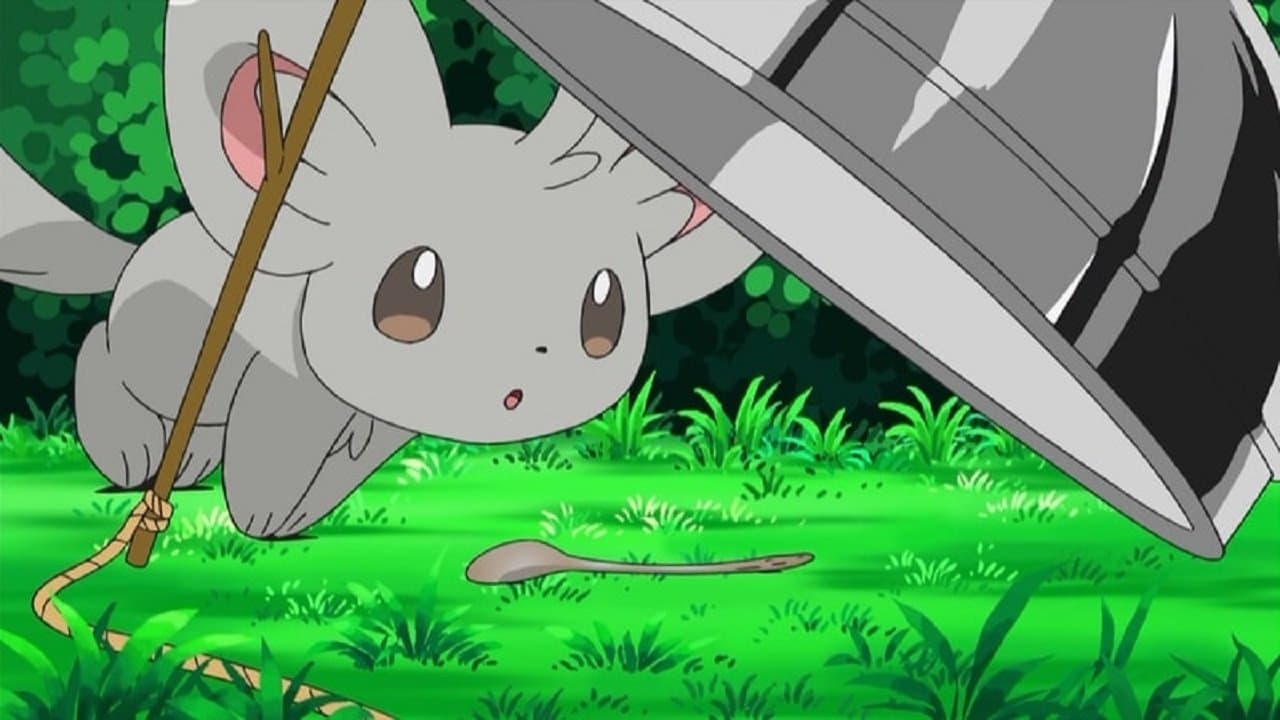 Minccino-Neat and Tidy! still