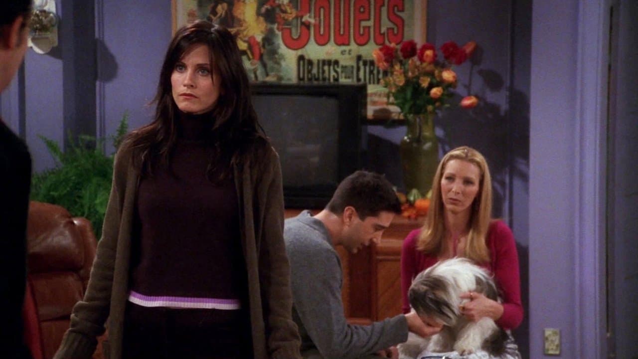 The One Where Chandler Doesn't Like Dogs still