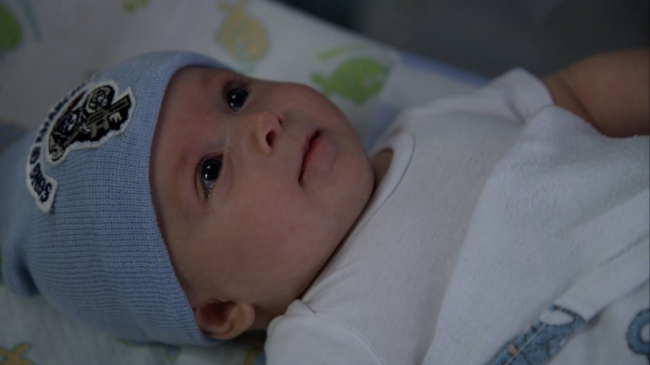 The Sleep of Babies still